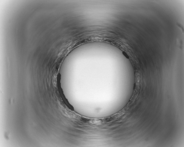 X0000100220419200805300751