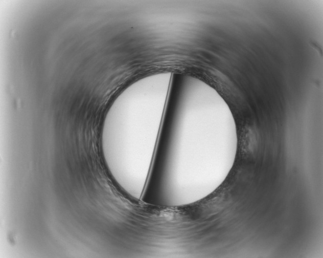 X0000100220420200805300751