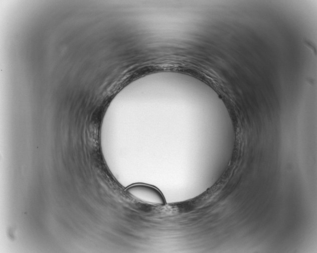 X0000100220421200805300751