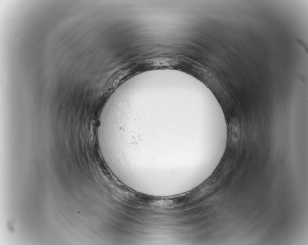 X0000100220422200805300751