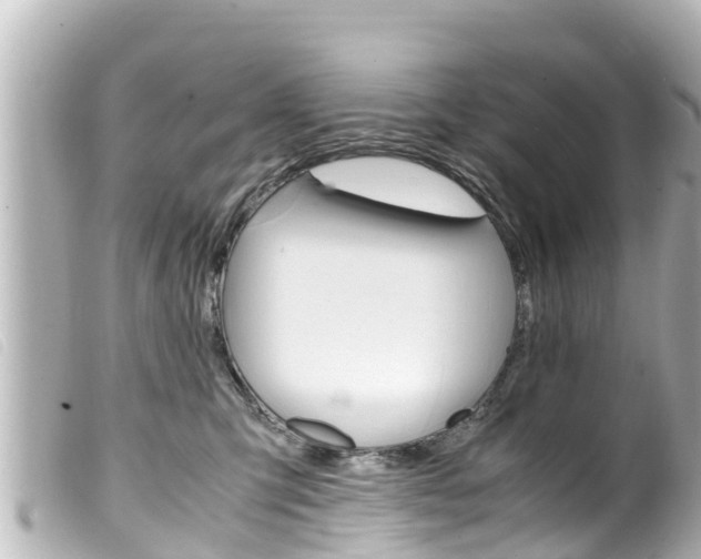 X0000100220423200805300751