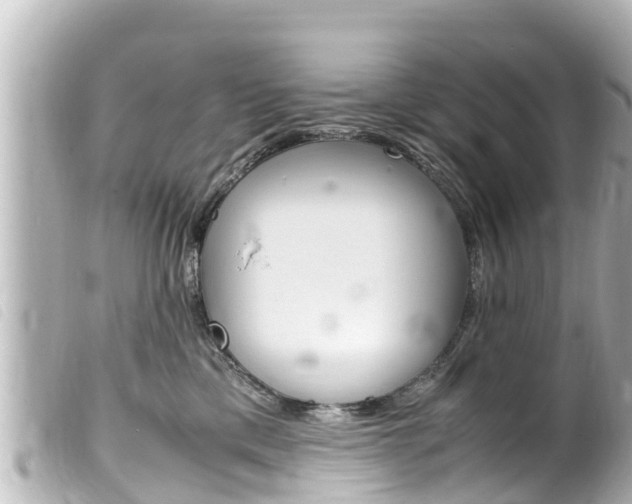 X0000100220425200805300751