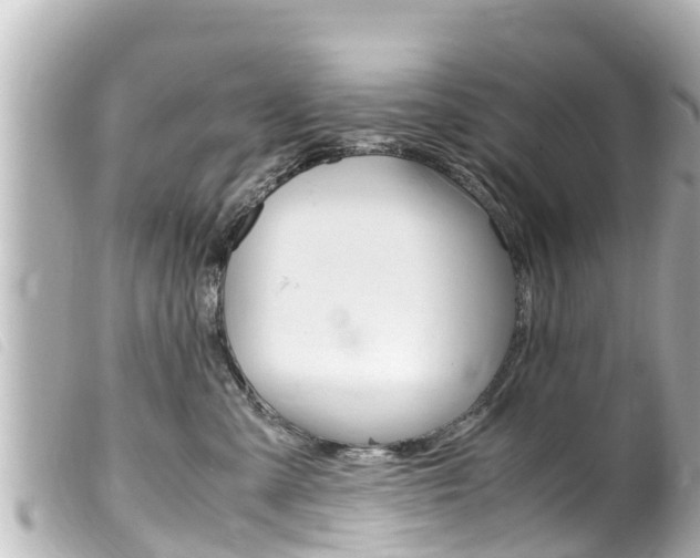 X0000100220427200805300751