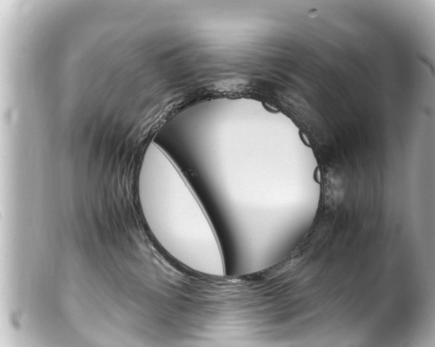 X0000100220428200805300751