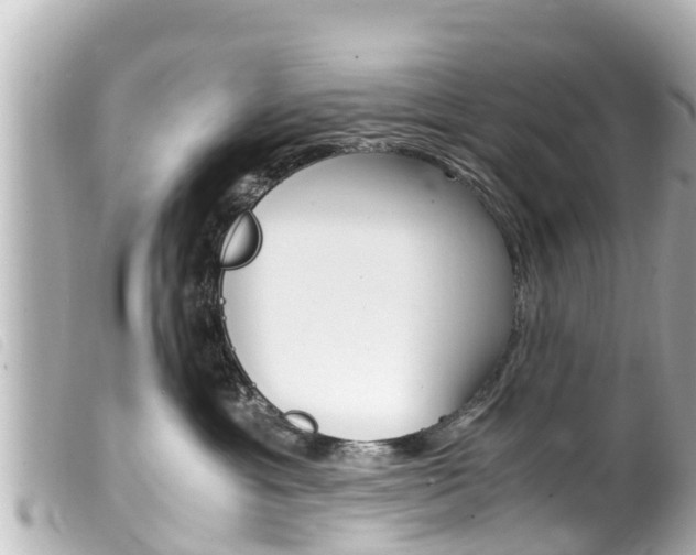 X0000100220429200805300751