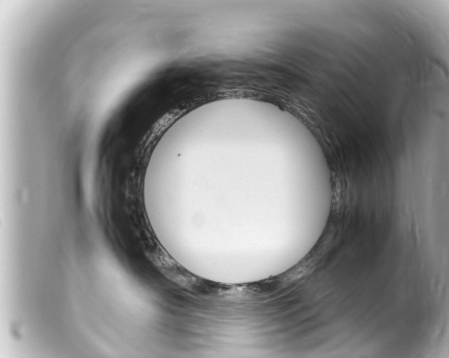 X0000100220430200805300751