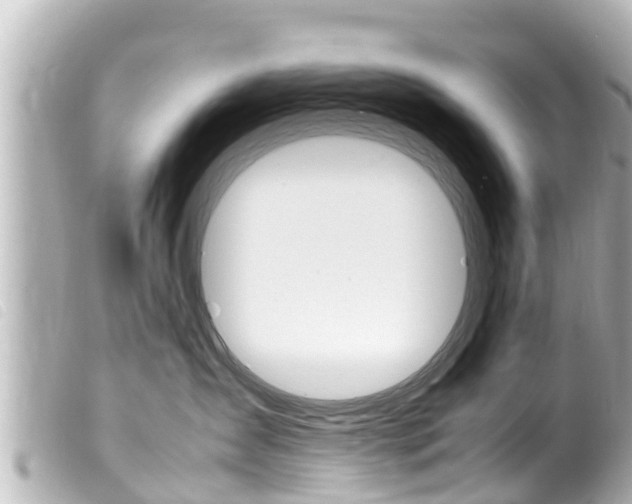 X0000100220431200805300751