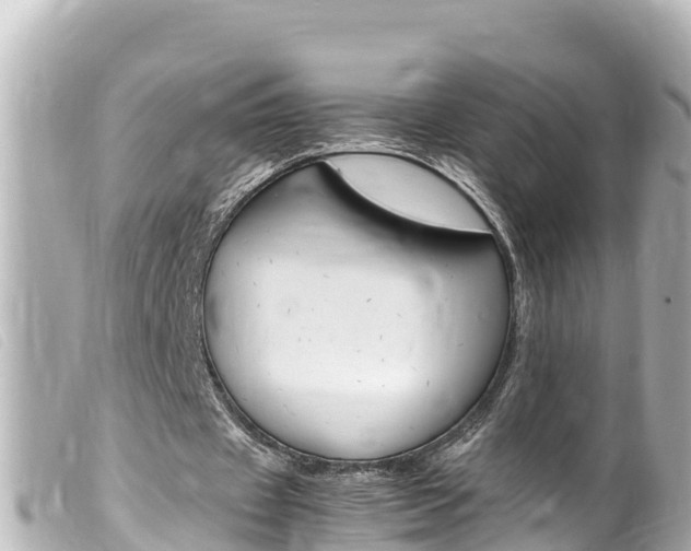 X0000100220433200805300750