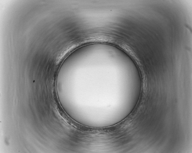 X0000100220434200805300750