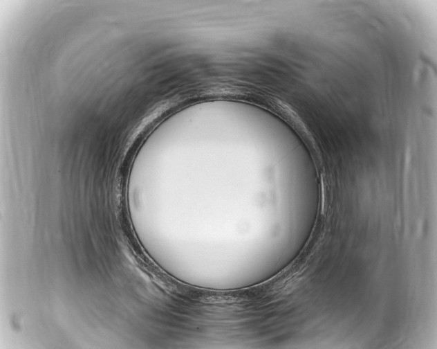 X0000100220435200805300750