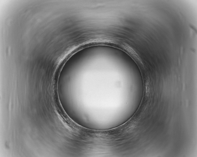 X0000100220436200805300750