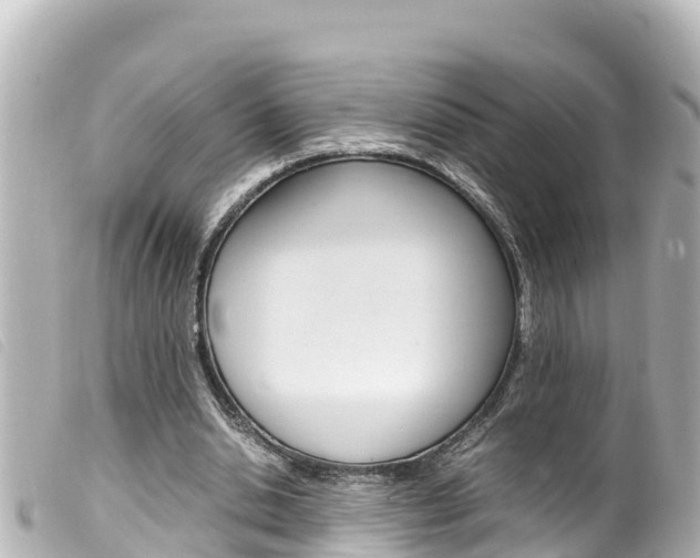 X0000100220438200805300751