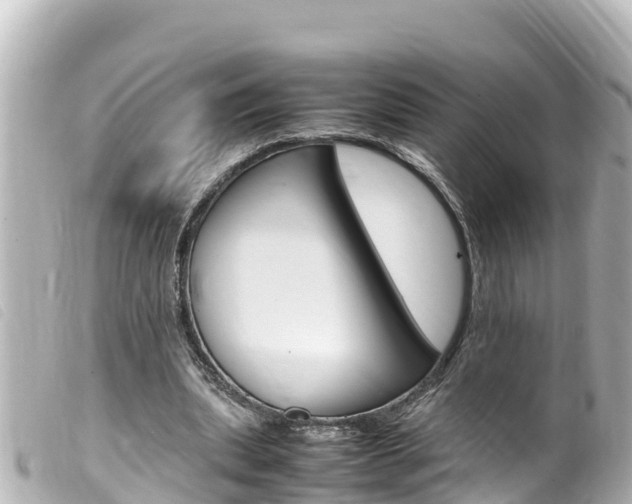 X0000100220439200805300751