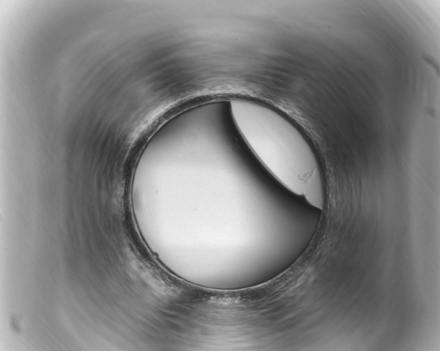 X0000100220440200805300751