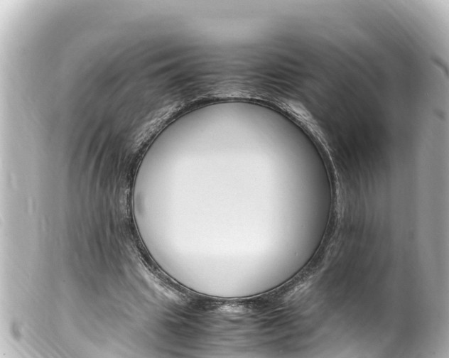 X0000100220441200805300751