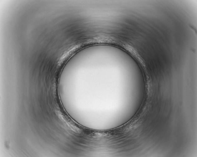 X0000100220442200805300751