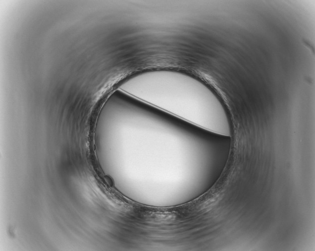 X0000100220443200805300751