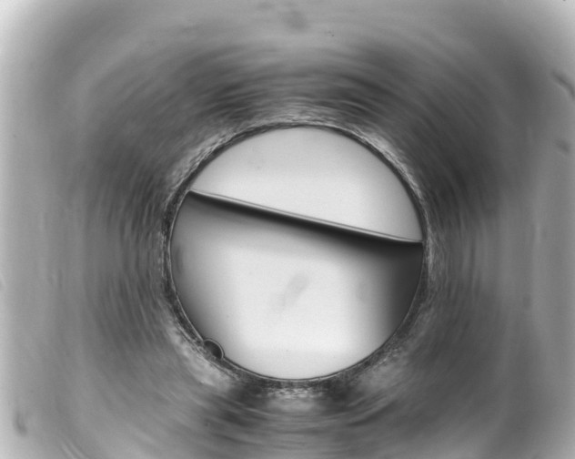X0000100220445200805300751