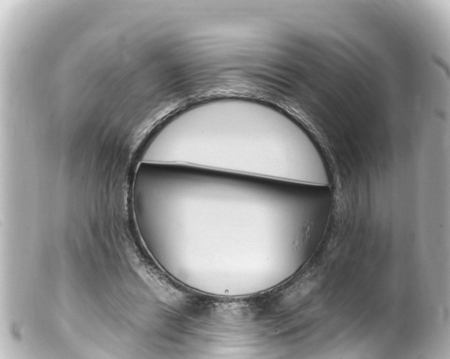 X0000100220446200805300751