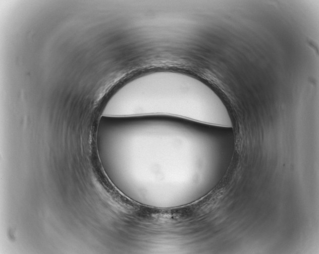 X0000100220448200805300751