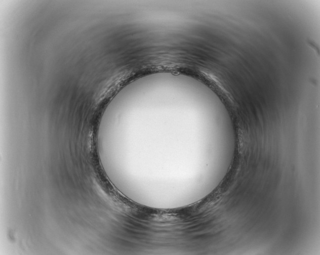 X0000100220451200805300751