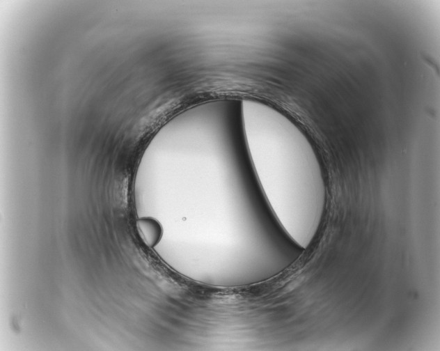 X0000100220454200805300751