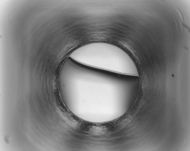 X0000100220455200805300751