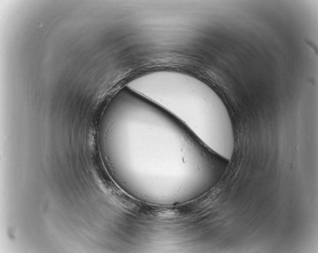X0000100220456200805300751