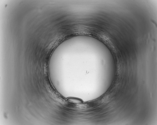 X0000100220457200805300751