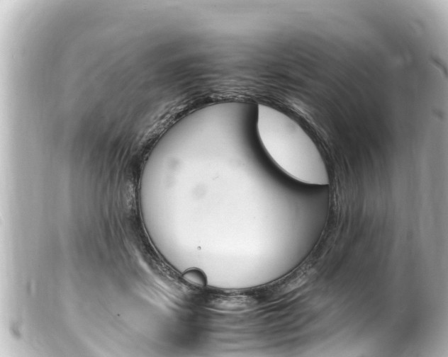 X0000100220459200805300751