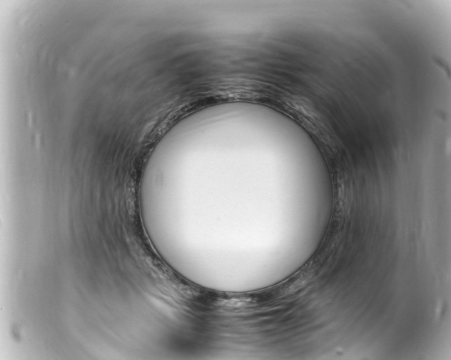 X0000100220461200805300751