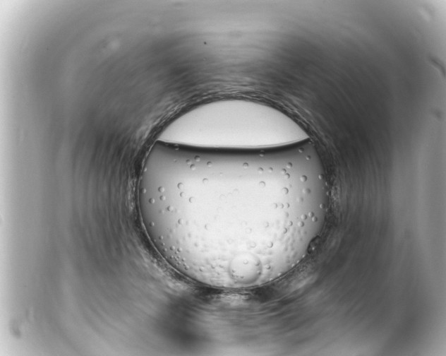 X0000100220462200805300751