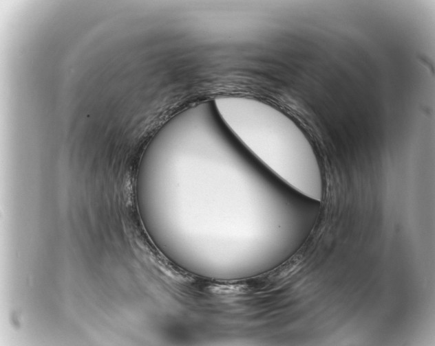 X0000100220465200805300751