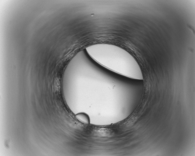 X0000100220467200805300751