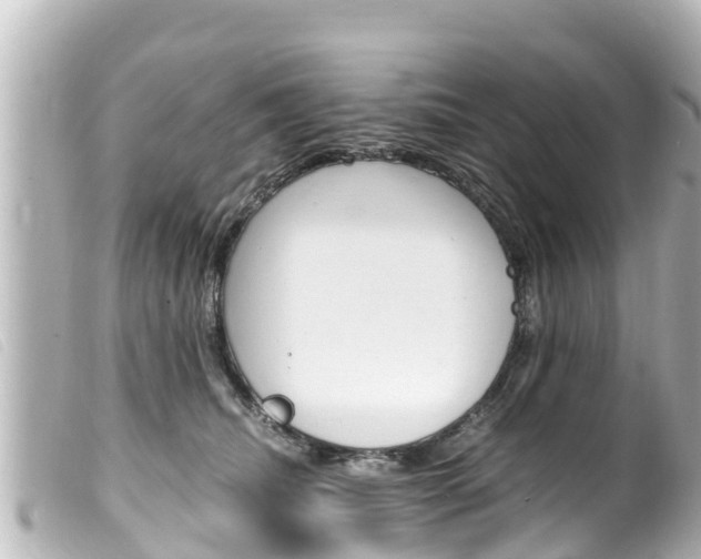 X0000100220468200805300751