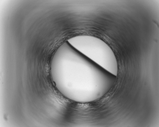 X0000100220469200805300751