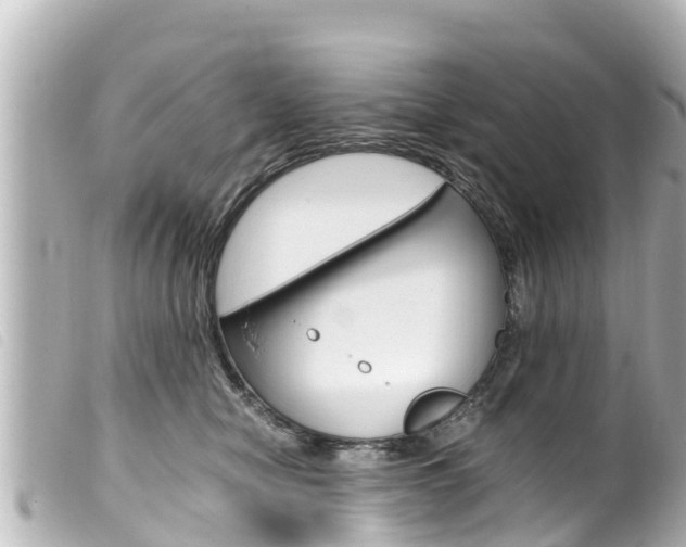 X0000100220470200805300751