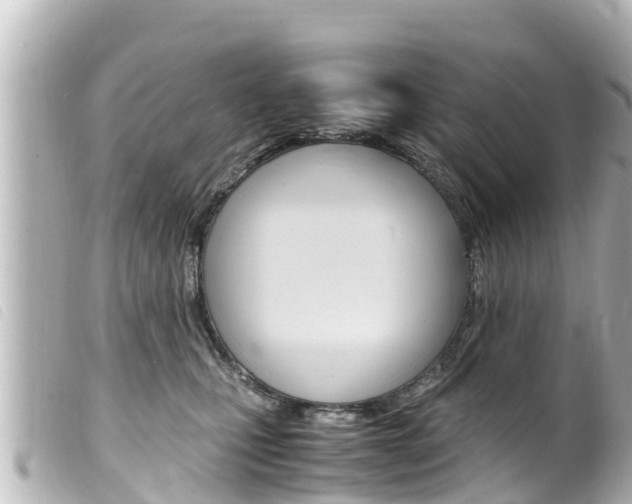 X0000100220471200805300751