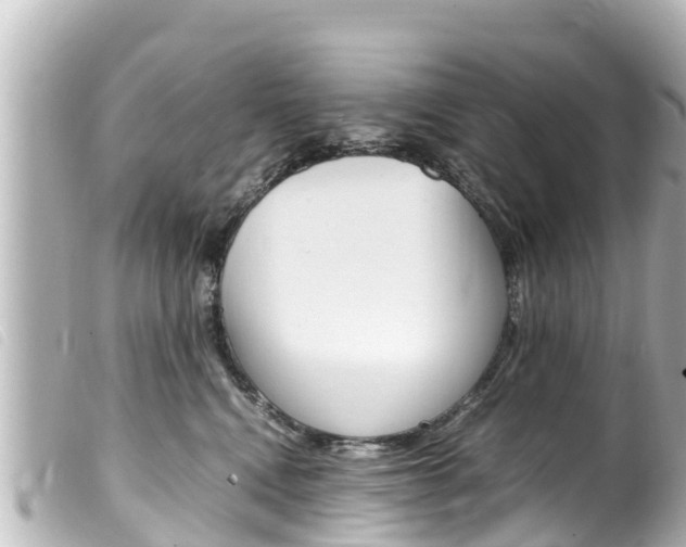 X0000100220472200805300751