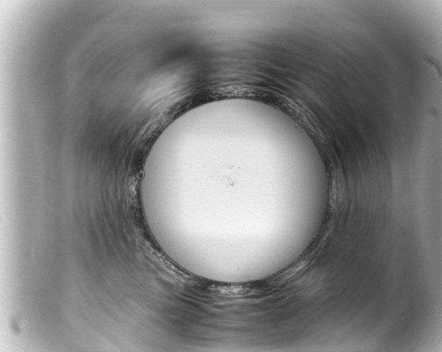X0000100220473200805300751
