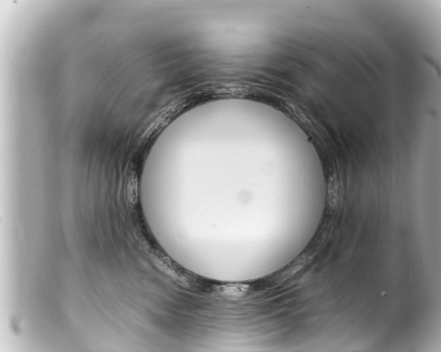 X0000100220474200805300751