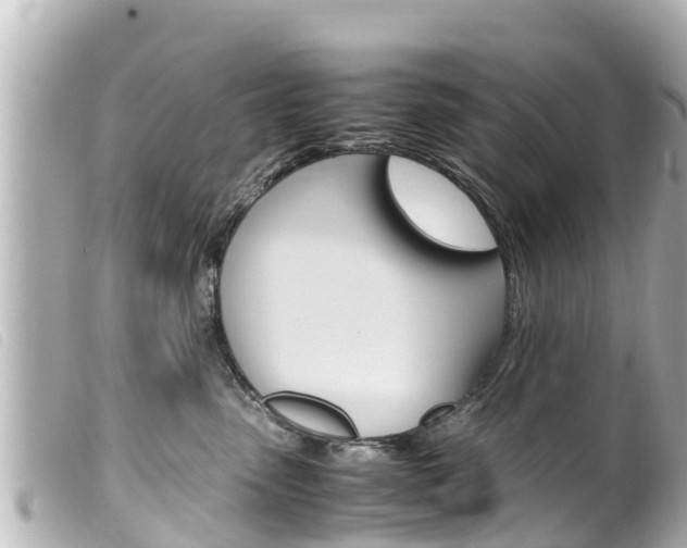 X0000100220475200805300751