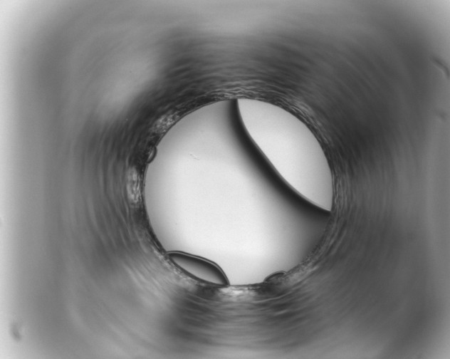 X0000100220477200805300751