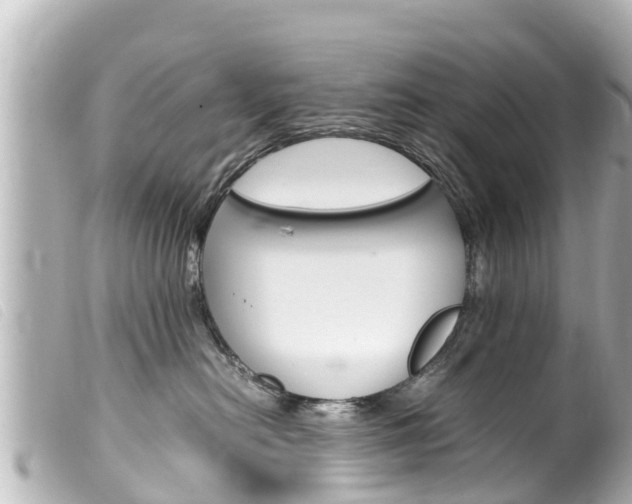 X0000100220478200805300751