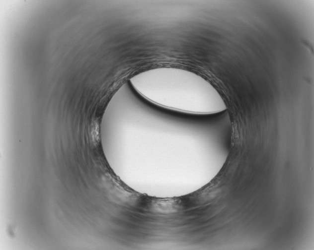 X0000100220479200805300751