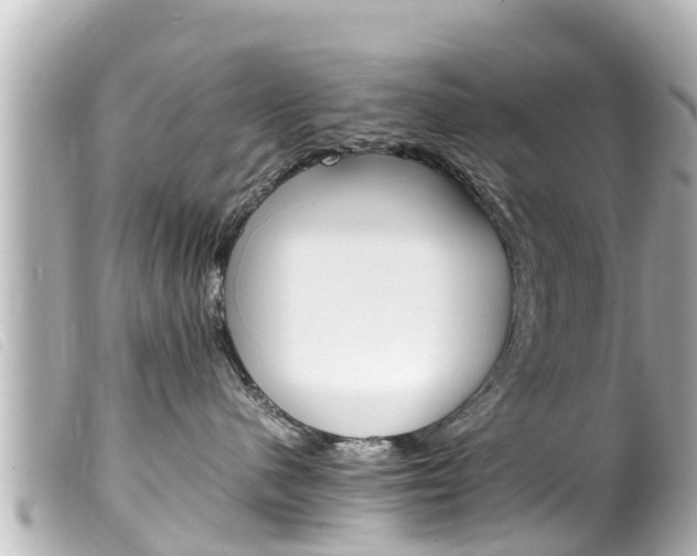 X0000100220480200805300751