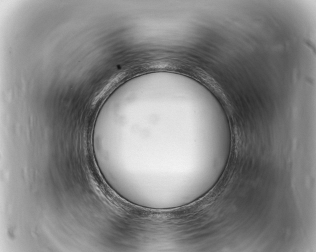 X0000100220482200805300750
