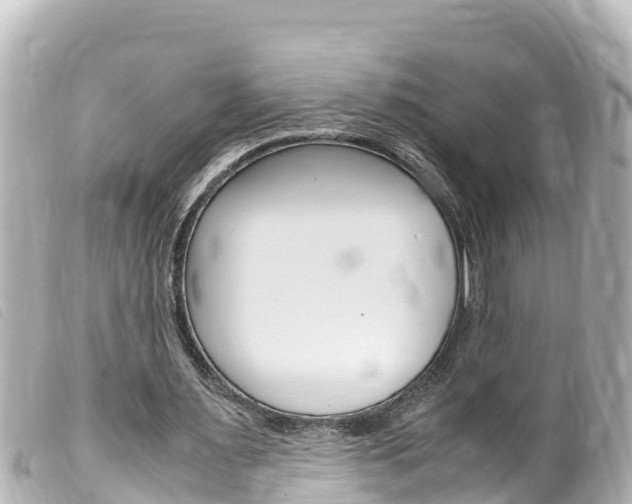 X0000100220483200805300750