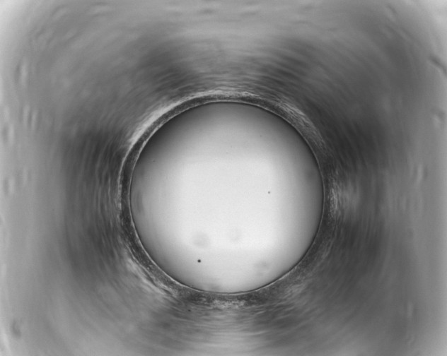 X0000100220484200805300750