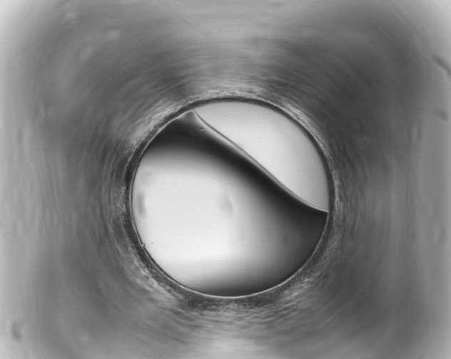 X0000100220485200805300750